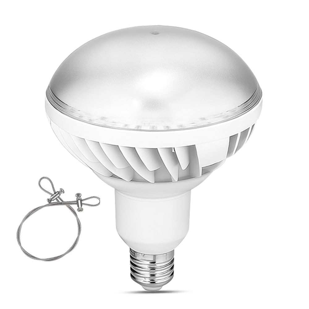Amazon | Kiwozaira LEDバラストレス水銀灯 E39 LED電球 PAR56 80W E39